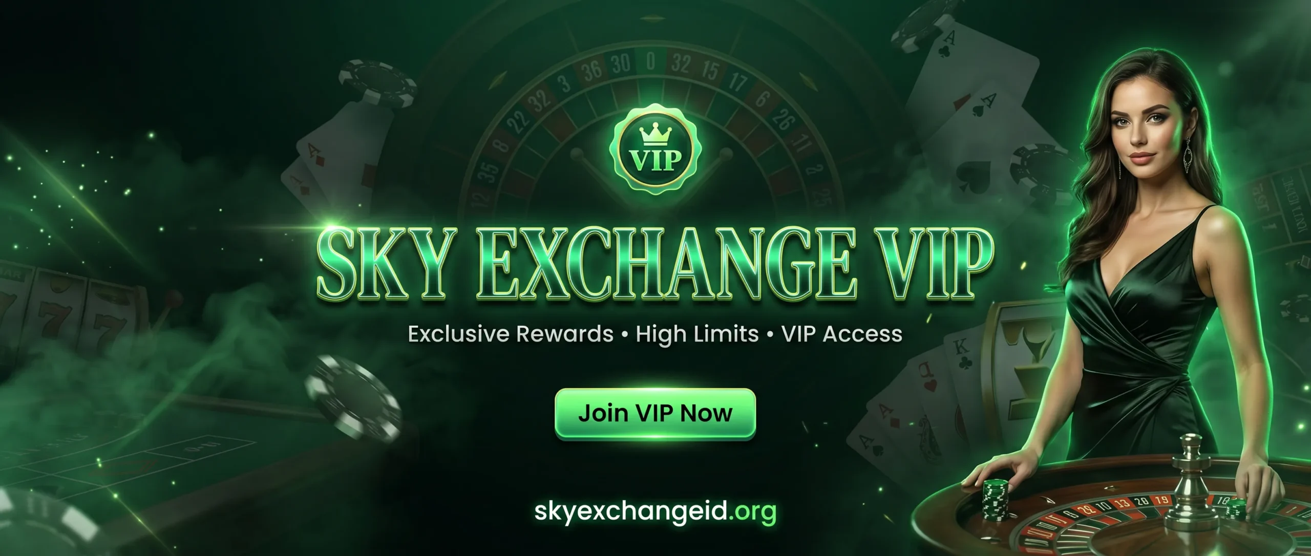 sky exchange vip